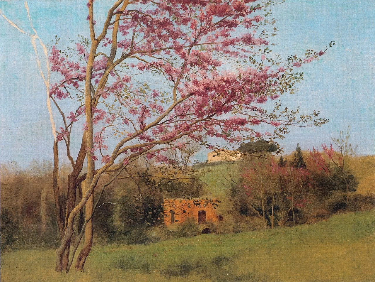 Paesaggio. Mandorla rossa in fiore (studio), c. 1912